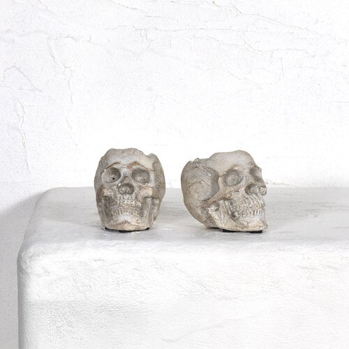 Concrete Skull